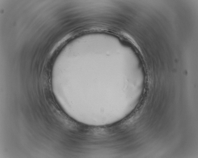 X0000076270827200610262028