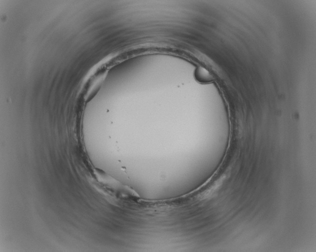 X0000076270830200610262028