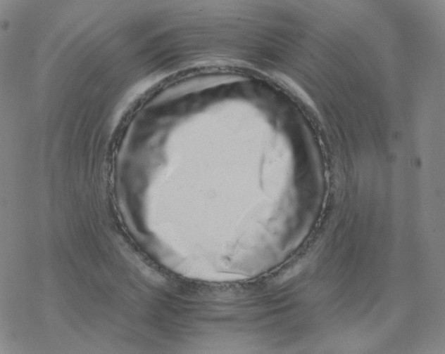 X0000076270831200610262028