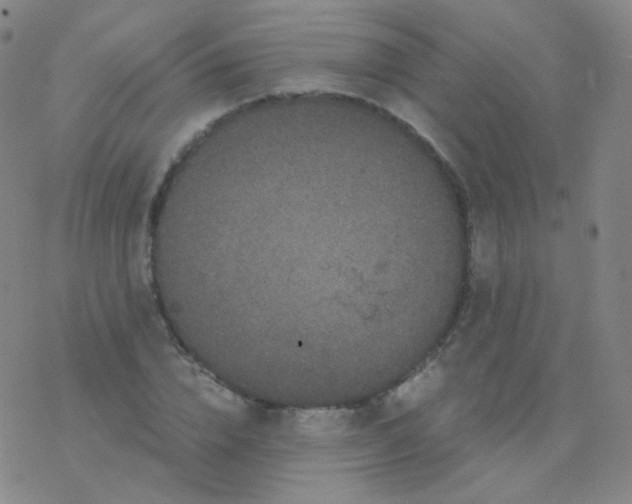 X0000076270832200610262028