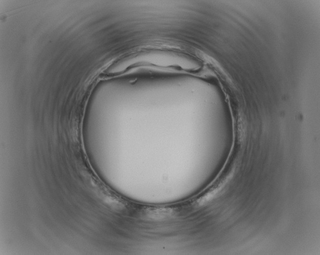 X0000076270833200610262028