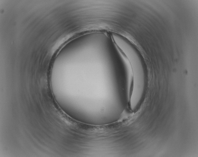 X0000076270834200610262028