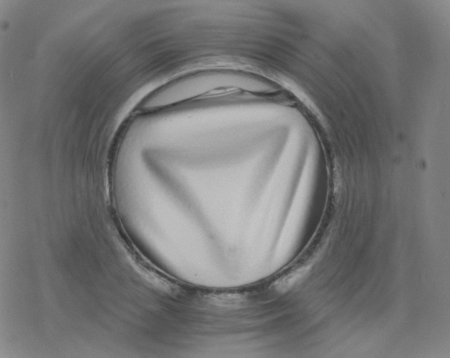 X0000076270837200610262028