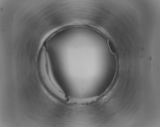 X0000076270838200610262028