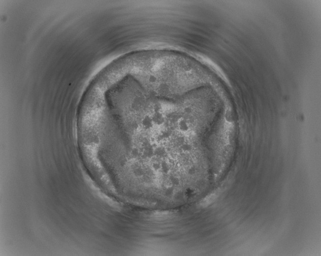 X0000076270839200610262028