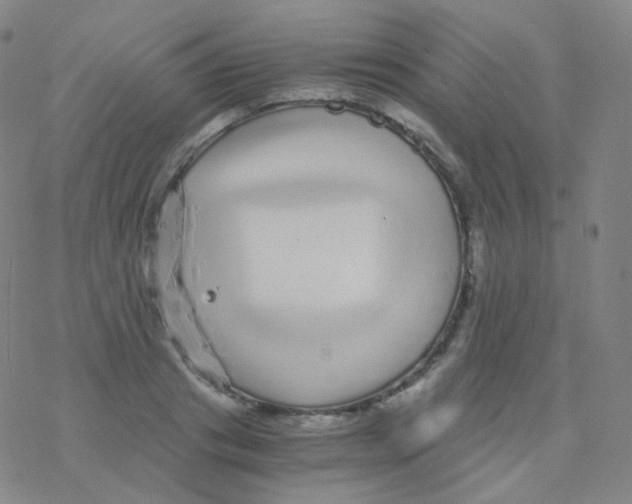 X0000076270841200610262028