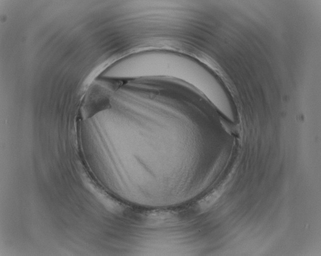 X0000076270842200610262028