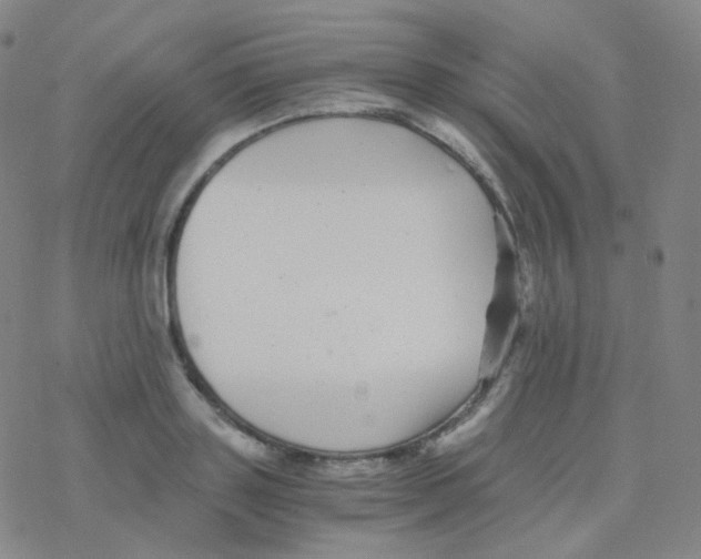 X0000076270843200610262028