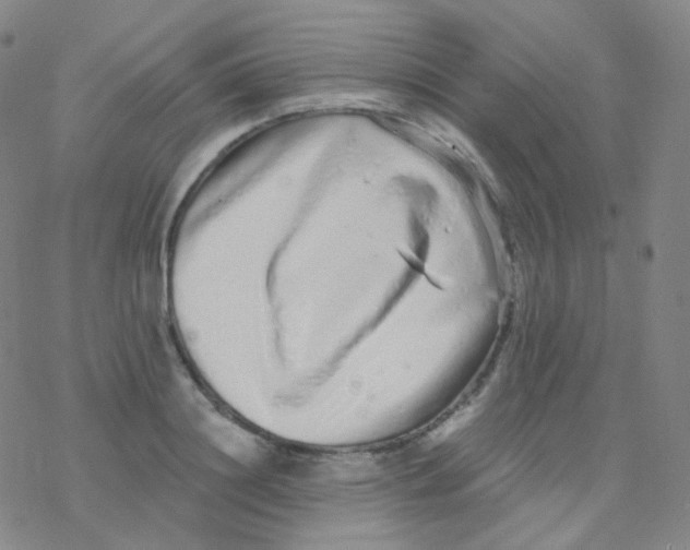 X0000076270844200610262028