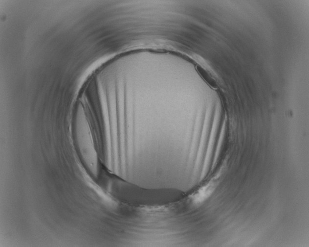 X0000076270846200610262028