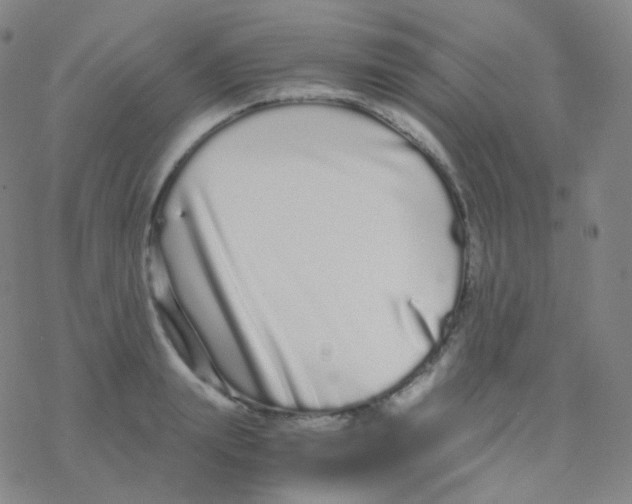 X0000076270847200610262028