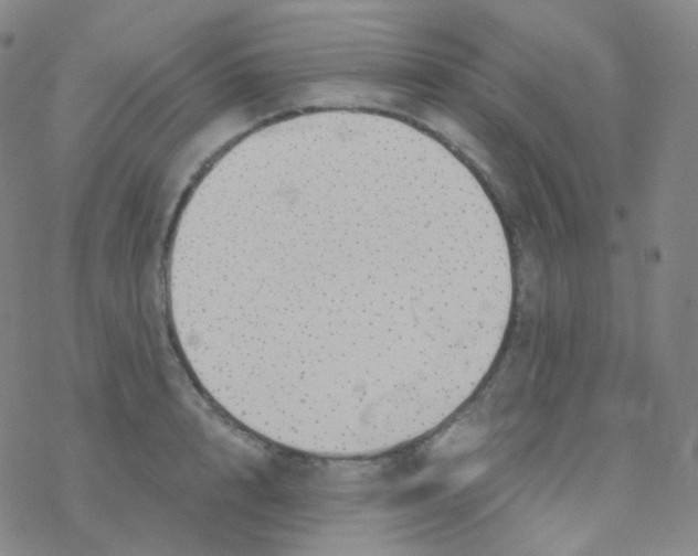 X0000076270848200610262028