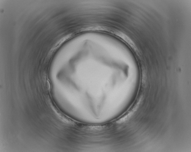 X0000076270849200610262028