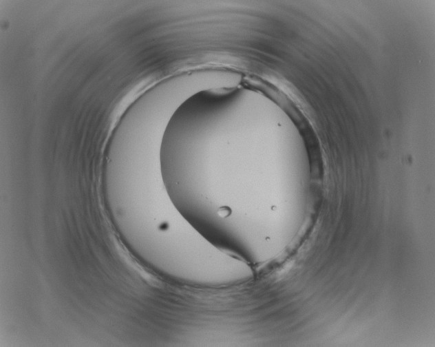 X0000076270850200610262028