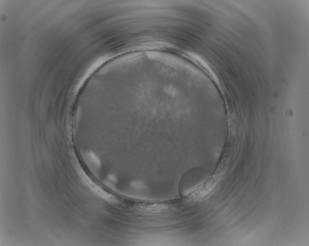 X0000076270851200610262028