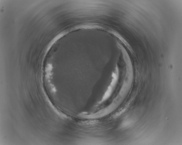 X0000076270853200610262028