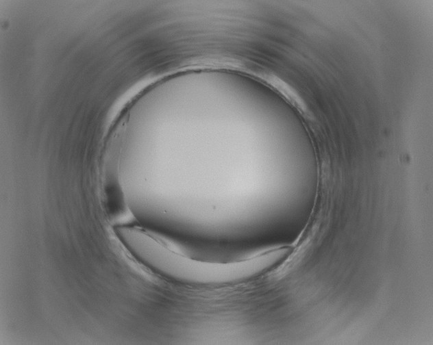 X0000076270854200610262028