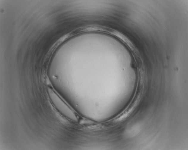 X0000076270857200610262028