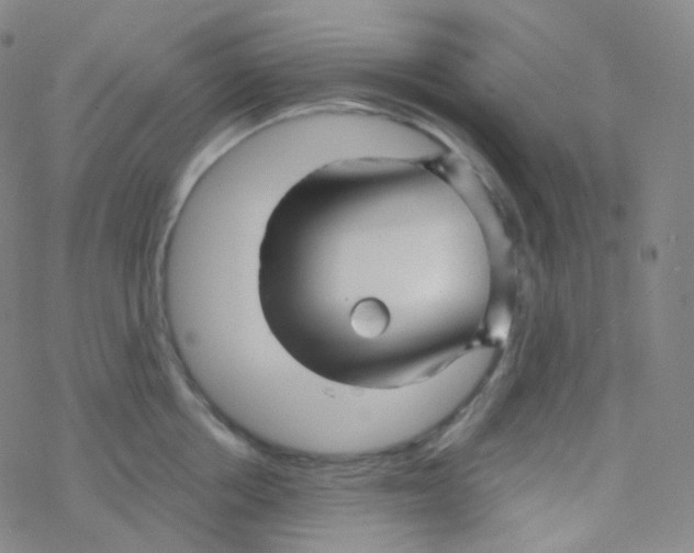 X0000076270858200610262028