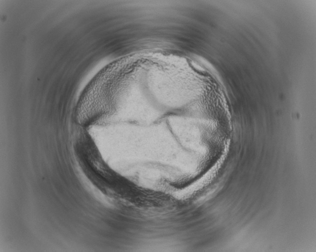 X0000076270859200610262028