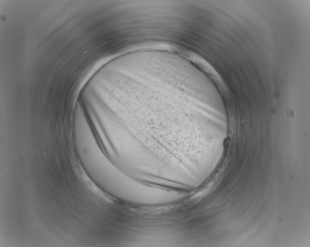 X0000076270860200610262028