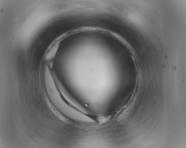 X0000076270862200610262029