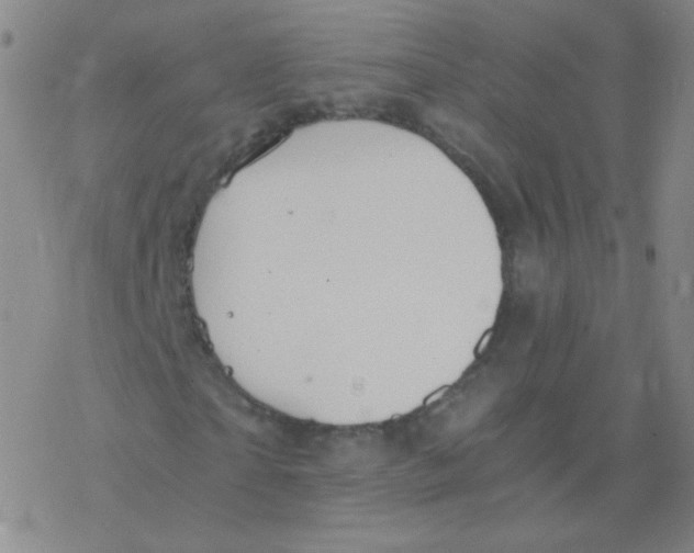 X0000076270865200610262028