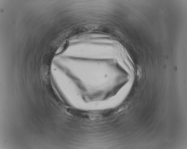 X0000076270867200610262028