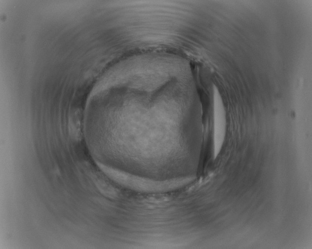 X0000076270868200610262028