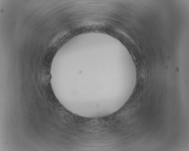 X0000076270869200610262028