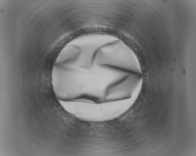 X0000076270870200610262028