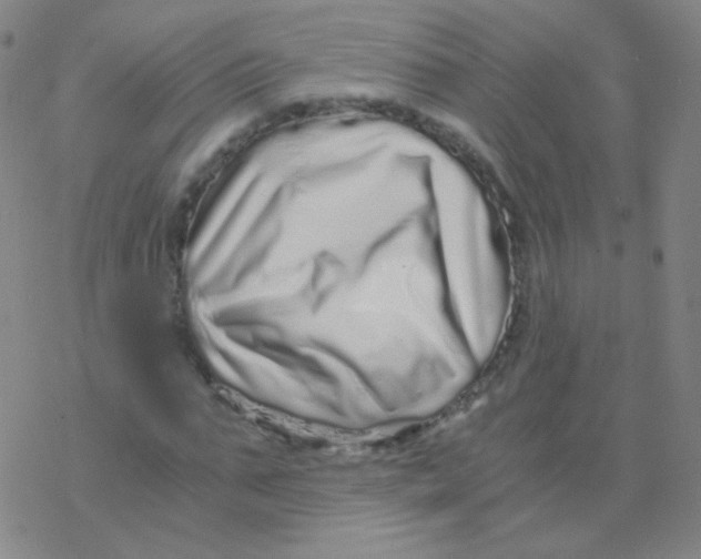 X0000076270871200610262028