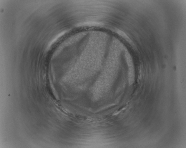 X0000076270872200610262028