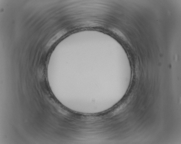 X0000076270873200610262028