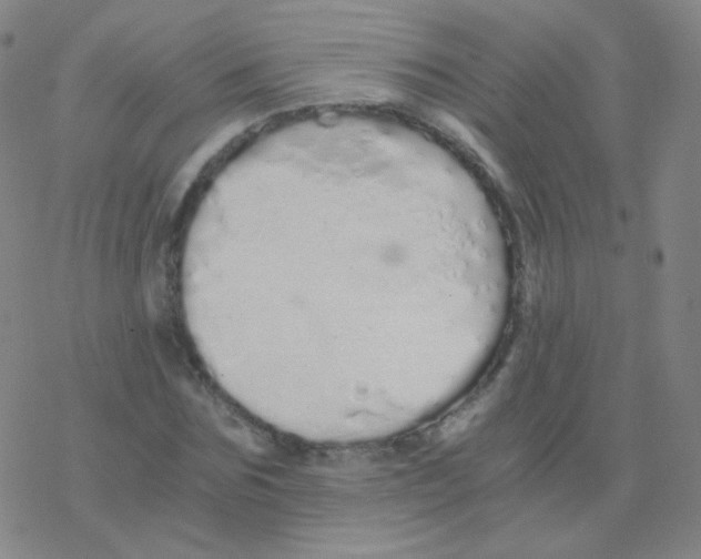 X0000076270875200610262028