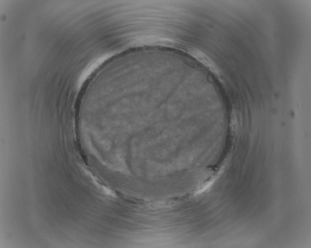 X0000076270877200610262028