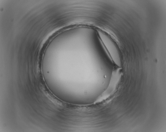 X0000076270880200610262028