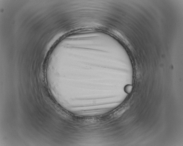 X0000076270883200610262027