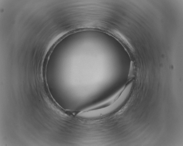 X0000076270884200610262027