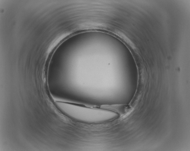 X0000076270885200610262027