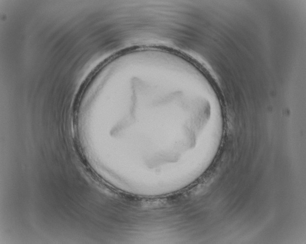 X0000076270887200610262027