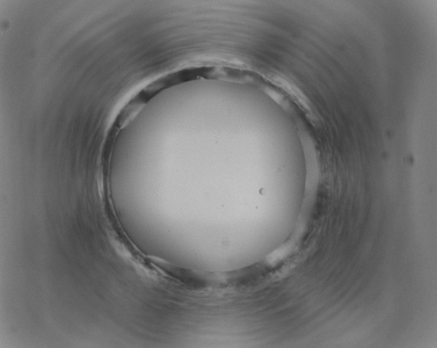 X0000076270888200610262027