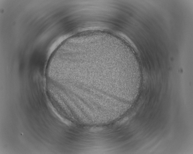 X0000076270890200610262027