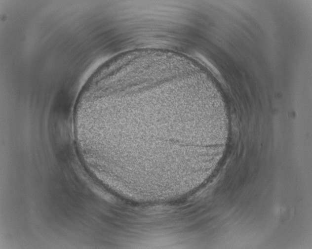 X0000076270891200610262027