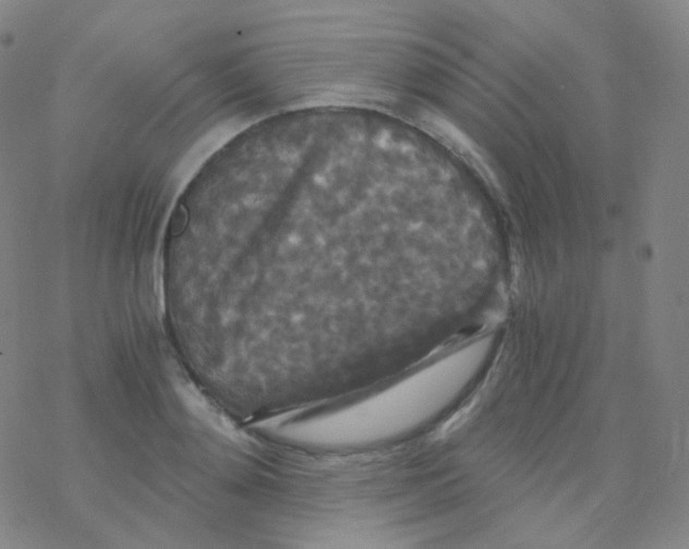 X0000076270892200610262027