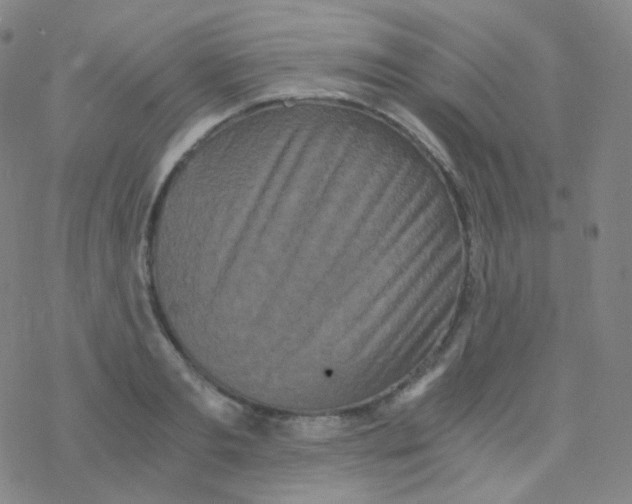 X0000076270893200610262027