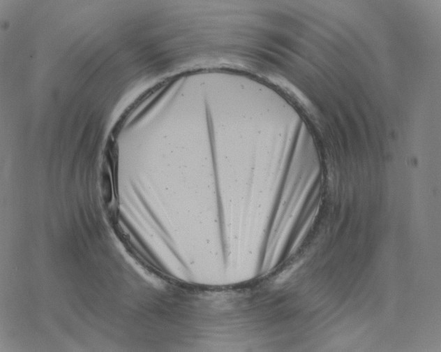 X0000076270894200610262027