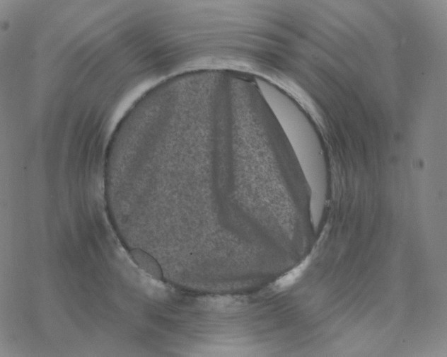 X0000076270896200610262027