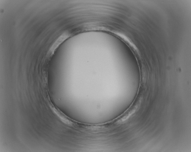 X0000076270897200610262027