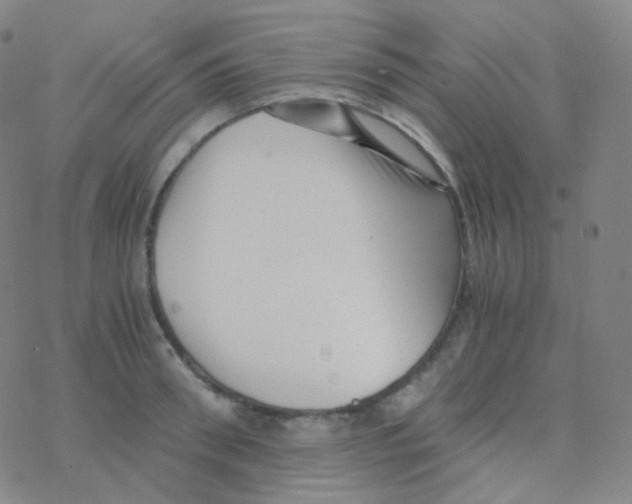 X0000076270898200610262027